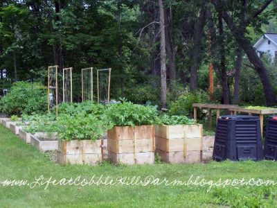Compost 101 Image